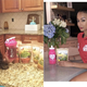 Image for article titled The Big Bad World of Products Celebrities Promote on Instagram